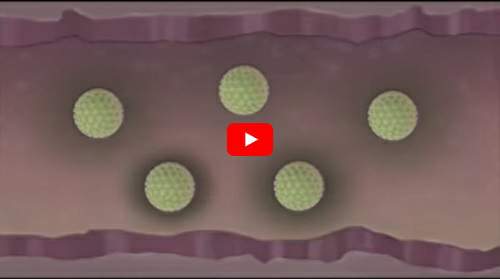 Youtube Video - How HPV Vaccine works